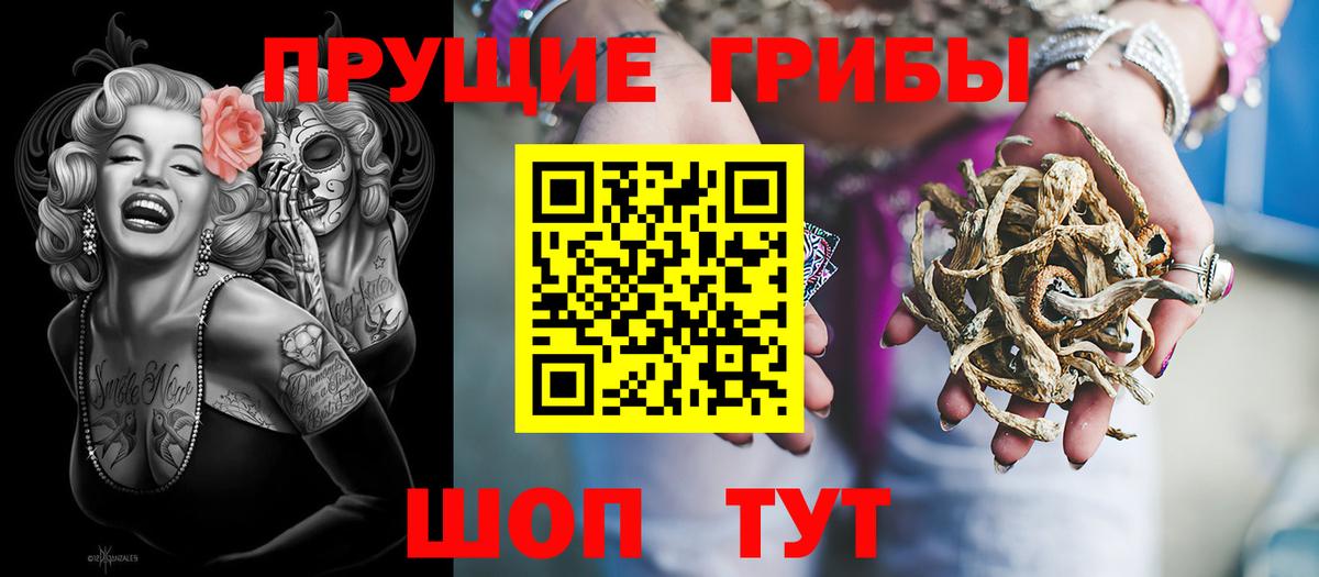 Ачхой-Мартан  Псилоцибиновые грибы мицелий  Вход с VPN 